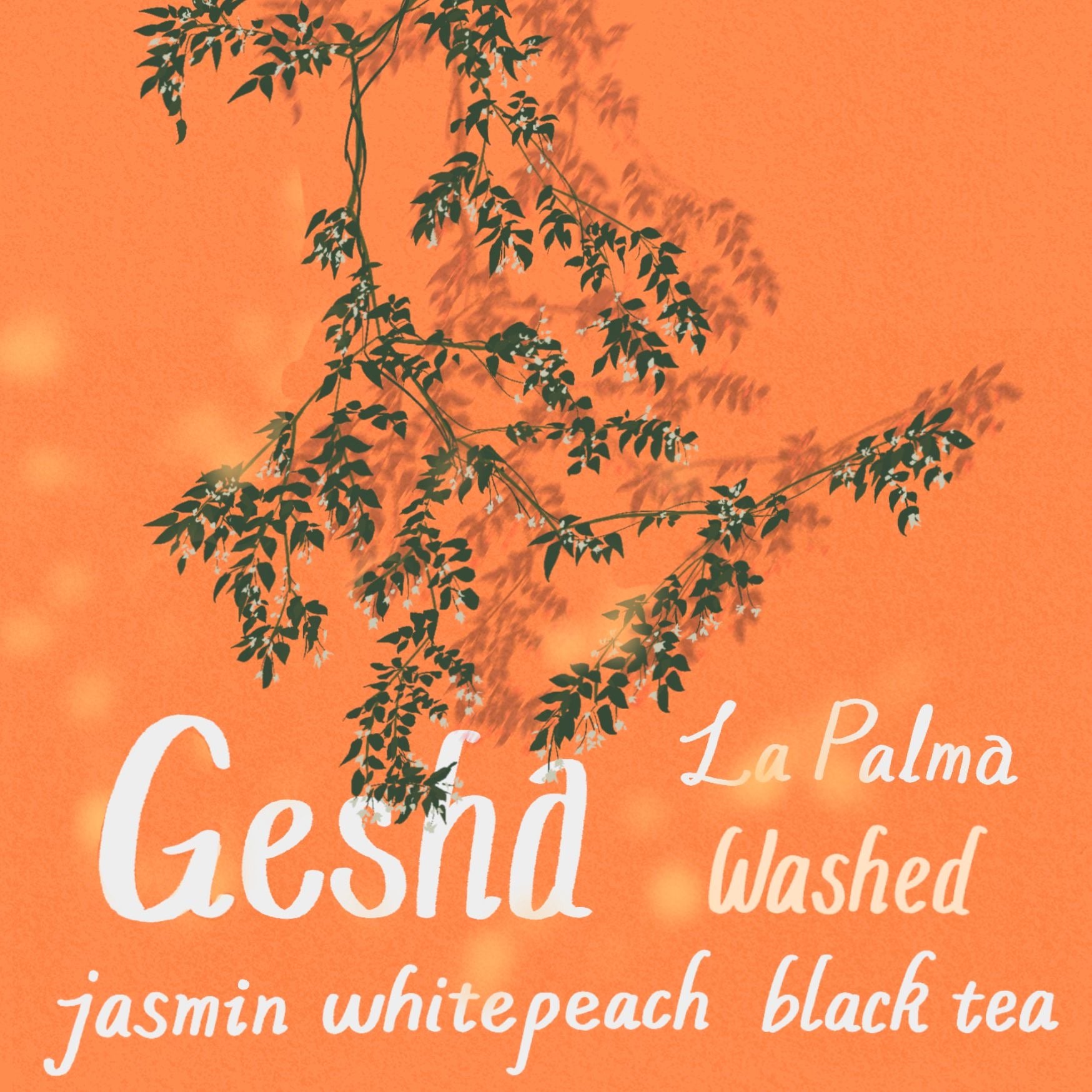 Geisha – La Palma