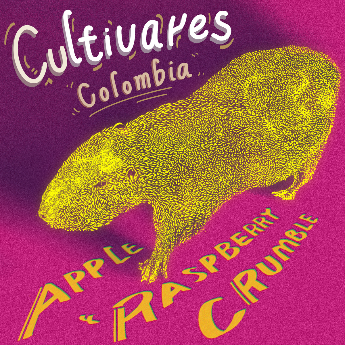 Cultivares - Caturra