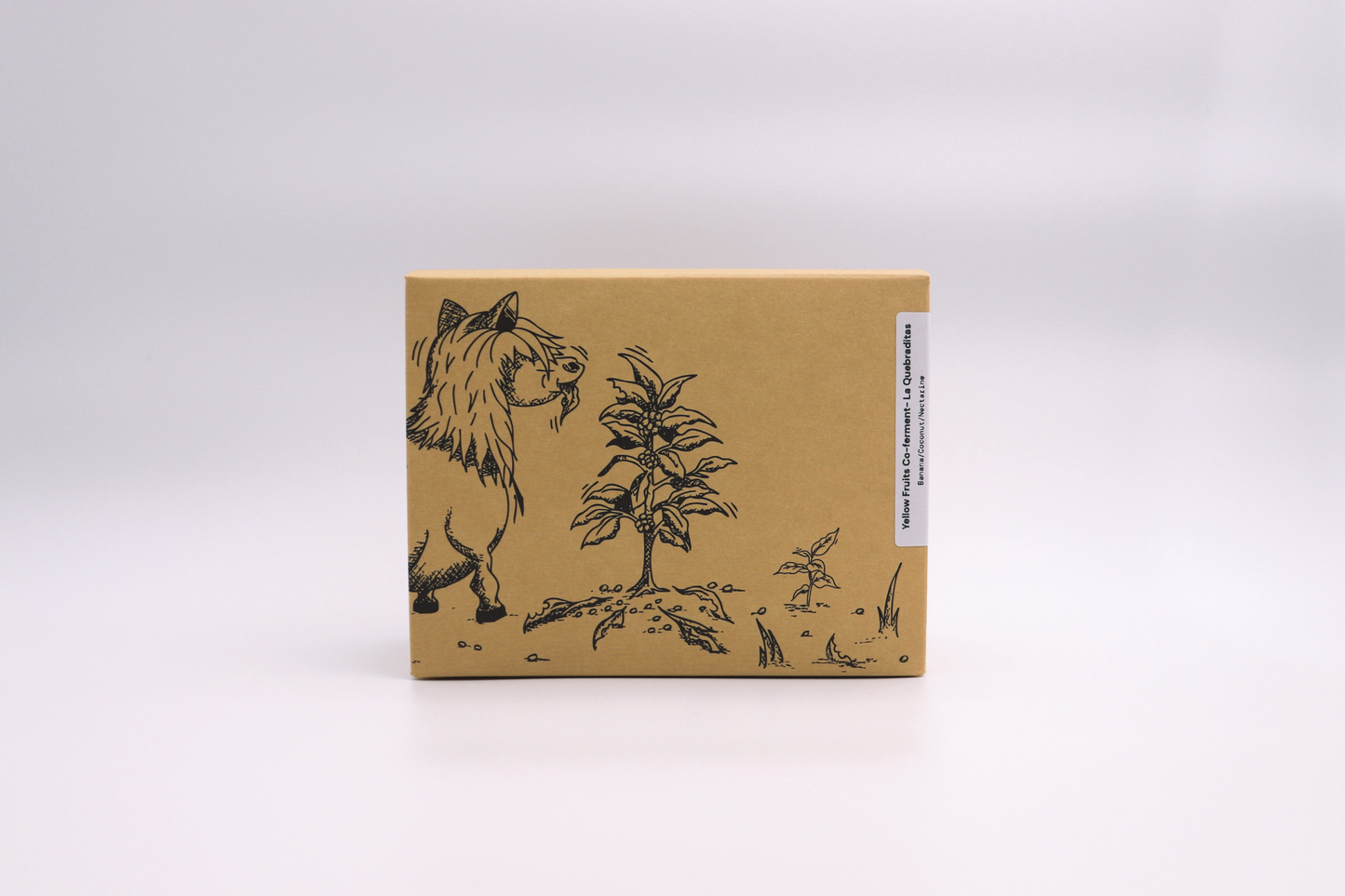 Yellow Fruits Co-ferment - La Quebraditas