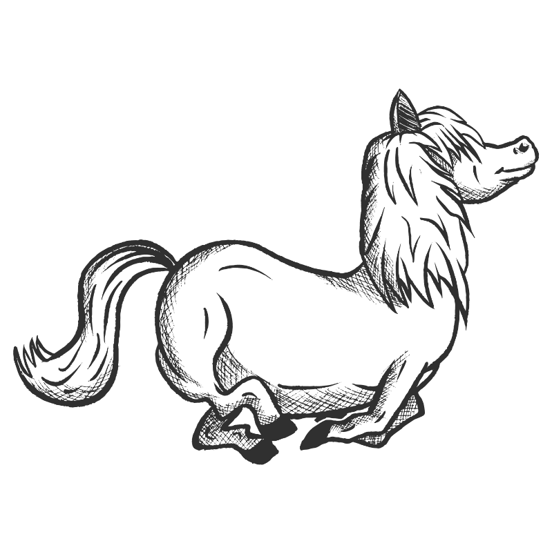 Dark Pony Coffee logo